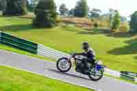 White Bikes